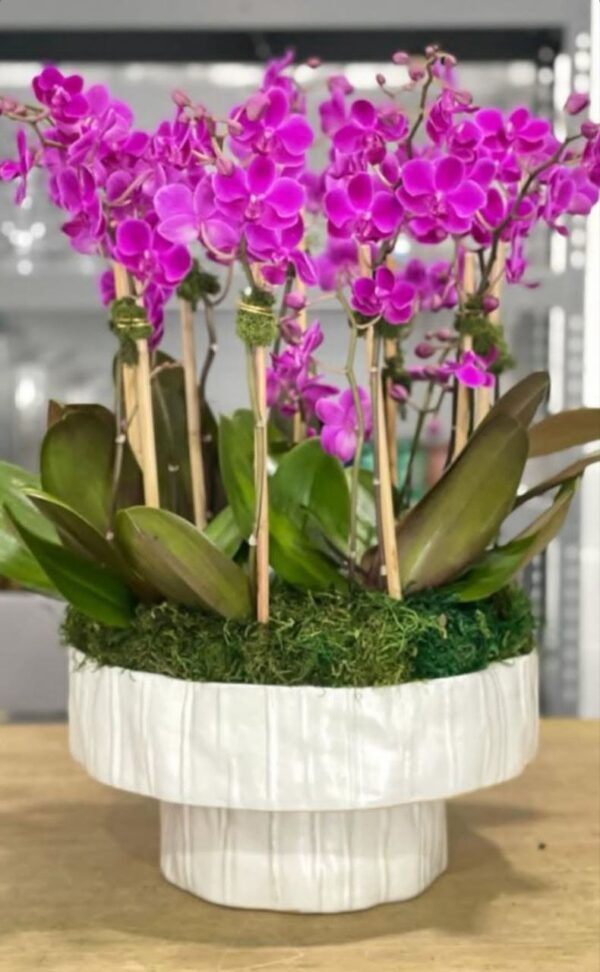 Arabian flowers codigo #146