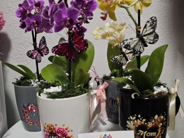 Arabian flowers 12