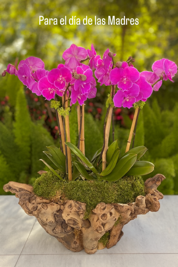 Arabian flowers codigo #135