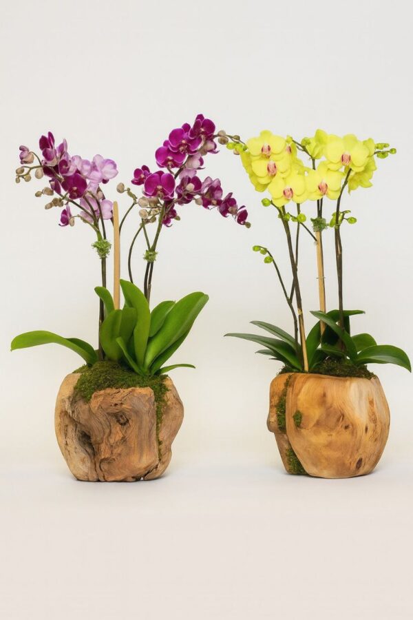 Arabian flowers codigo #144