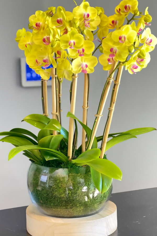 Arabian flowers codigo #143