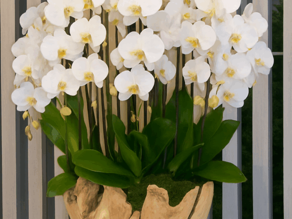 Arabian flowers 9