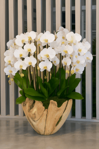 Arabian flowers codigo #141